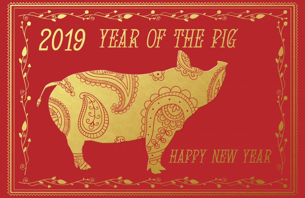  Year Of The Pig 2019. Public Domain Image.